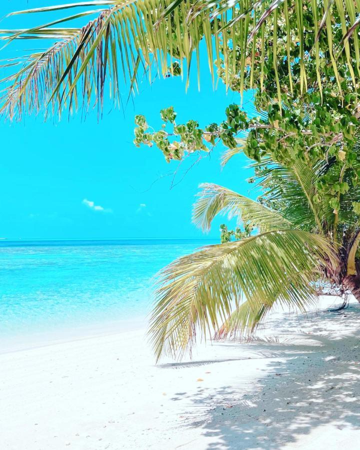 Rising Sun Beach View Thinadhoo  Eksteriør bilde